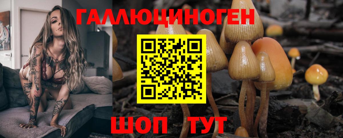 Меф мяу мяу Сунжа